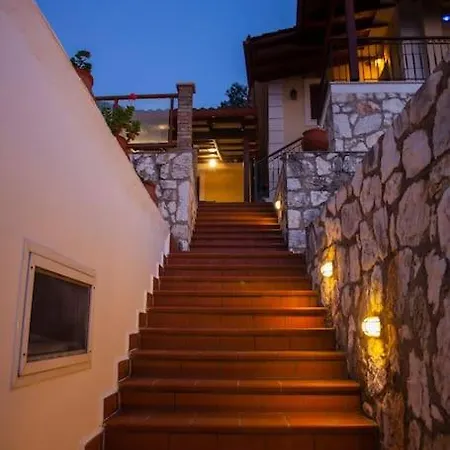 Aurelia Kefalonia *